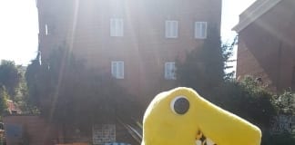 Dinosaur swapping dancing shoes for running trainers in charity half marathon race Main Image 1