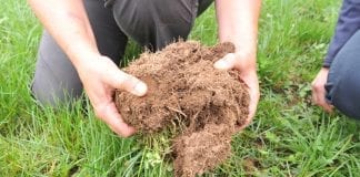 Good soil husbandry under the spotlight at Farming Connect Master Soils Screenshot 20181017 144801