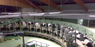 FREE SUPPORT FOR HERD HEALTH AND DISEASE CONTROL Screenshot 20181023 085946