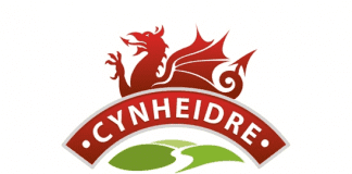 Llanelli and Mynydd Mawr Railway open days in 2019 Llanelli Mynydd Mawr Railway logo