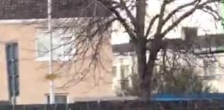 NEWS UPDATE – MALE CAUSES CONCERNS AS HE SETS FIREWORKS OFF AT LLANELLI TRAIN STATION! Screenshot 20181101 165013