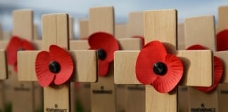 BRITISH PUBLIC URGED TO BEWARE OF POPPY MERCHANDISE SCAMS Screenshot 20181106 131943