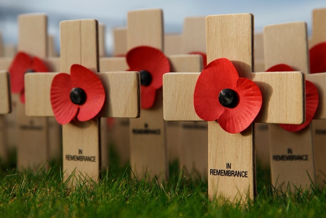 Hundreds of scammers flogging FAKE poppies online as Royal British