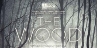 ACCLAIMED FIRST WORLD WAR DRAMA MAKES ITS PRINT DEBUT TO MARK ARMISTICE CENTENARY Screenshot 20181106 220020