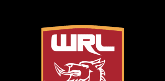 Media accreditation: Wales v Ireland wrl