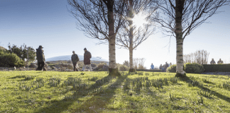 Get fit – for FREE! Botannical Garden