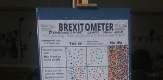CARMARTHENSHIRE & PEMBROKESHIRE LIBERAL DEMOCRATS ANNOUNCE SPLIT INTO 2 NEW LOCAL PARTIES Brexitometer 1