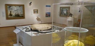 National Park Marine Plastic Session Buoyed by Travel Busary Offer CoastOrielyParcWeb