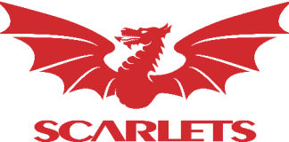 Scarlets host Ceredigion Schools Festival Scarlets logo