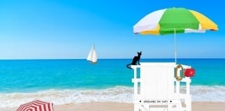 SEA-SIDE FOLK beach 1485630 960 720