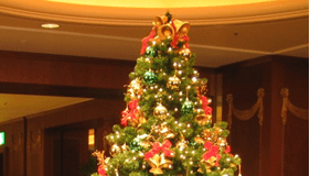 Welsh traditions are key for a holly jolly Christmas x mas tree