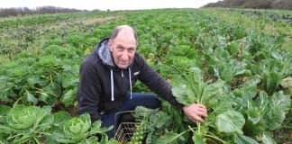 Breaking new ground… Pembrokeshire farmer who diversified into organic field scale root crops seeks new business partner! Romeo Sarra