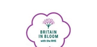 RHS Britain in Bloom finalists go for gold in 2019 britaininbloomlogo