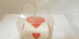 Jenkins Valentine’s Day GIFT VALENTINE SPONGE