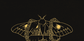 DAVID GRAY – Announces 17 Date UK & Ireland Tour | Guest list places available GOLD IN A BRASS AGE