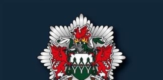 MID & WEST WALES FIRE AND RESCUE AUTHORITY PUBLISHES 2019-2024 CORPORATE PLAN Mid and West Wales Fire and Rescue Service
