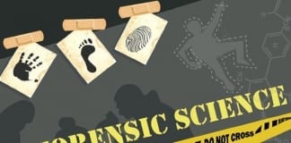 Forensic science and the criminal justice system: Lords to publish report Role of Forensic Science5
