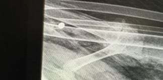 Swans return to scene of tragedy Swans