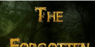 First time Novelist from South Wales The Forgotten Gateway