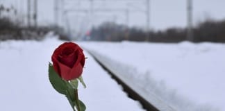 LOST LOVE! – A Poem by Tony Allender red rose in snow 3928306 960 720