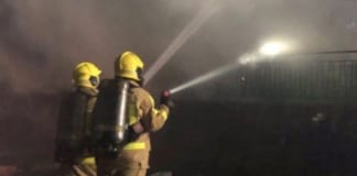 Firefighters rescue seven dogs from a burning property in Knighton stream2
