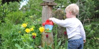 Pass on the benefits of gardening to the next generation child 559407 960 720
