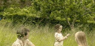 10 half term adventures to have at National Trust special places across south west Wales children in fields