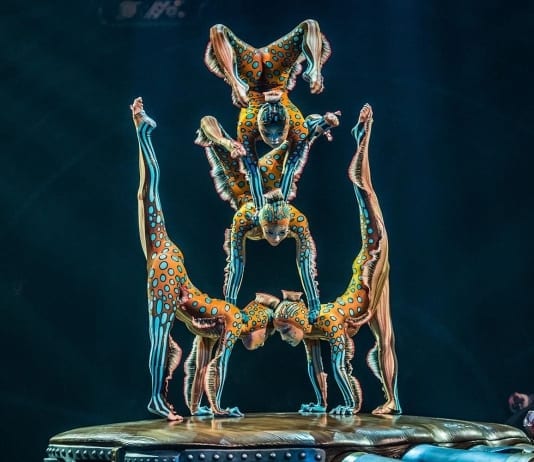 Kurious comes to Wales kurios show contortion
