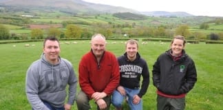 Prioritise grazed grass to reduce costs sheep expert tells lamb producers managing the growing lamb 2