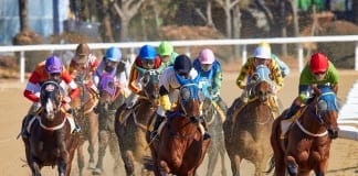 How to Keep Up With The Latest Horse Racing News mathew schwartz 406585 unsplash