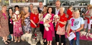 ELUNED MORGAN COMMENTS ON LUCY’S LAW FOR WALES 67402342 2432673060295482 4569331159783178240 n