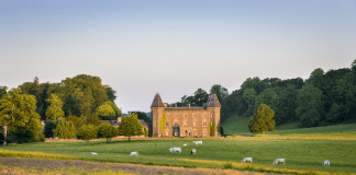 National Trust conservation efforts in Pembrokeshire help Welsh meadows start to thrive on their own Meadows at Dinefwr 4 CREDIT National Trust