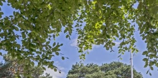 Whatever tomorrow looks like, it’s time to plan for the future now! Visit us at the Royal Welsh Show to have your say! Royal Welsh Show Y Sioe Frenhinol 2