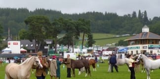 Grand National winner Sam Waley-Cohen to judge Royal Welsh Supreme Horse Championship Royal Welsh Show1