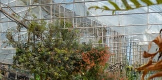 4 Tips For Garden Fence Care This Year haydn golden blJsdcNj9Vc unsplash