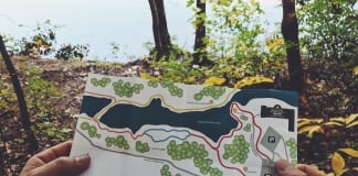 Should You Consider Mediation?: A Guide kayla duhon zsqF j9ZHXw unsplash