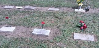 Pet peeve – why won’t my employer let me take a day off to grieve the loss of my dog? 197877 kate4