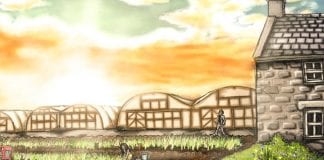 Mulch Systems and Direct Planting in Organic Horticulture/Systemau Tomwellt a Phlannu Uniongyrchol mewn Garddwriaeth Organig Bens farm coloured f 1580x500