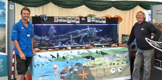 Discovering fossils and fun at the National Park’s County Show marquee Countyshowfishtankweb