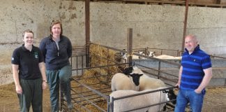 Optimise tupping success with early condition scoring of flocks Elan Davies Liz Genever and Kevin Parry 1 1