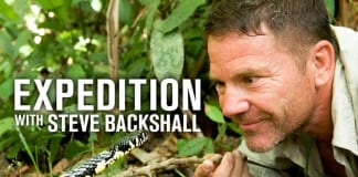 ROCK CLIMBING IN SNOWDONIA REVEALED AS ONE OF BRITIAN’S GREATEST ADVENTURES Expedition with Steve Backshall