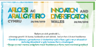 Innovation and Diversification Wales event/Digwyddiad Arloesi ac Arallgyfeirio Cymru Inovation and Diversification e1566305026356