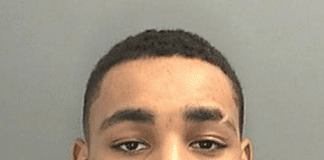 Fraudster sentenced for fake police officer scam Kye Harwood