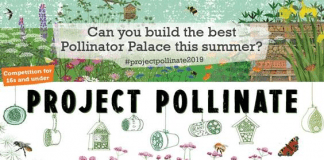 Project Pollinate – Prosiect Piellio Project Pollinate