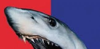 Don’t Feed the shark! – Safer NPT’s campaign bites back at illegal money lenders Sto Loan Sharks