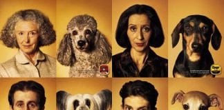 Nationwide competition to find ultimate owner-dog lookalikes dogsownerslook likedogs