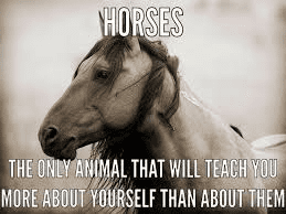 Hope thru Horses Hope thru Horses