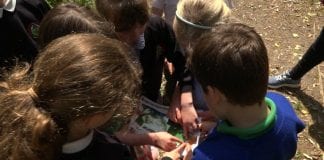 Enhanced access to outdoor learning across the county PODS8web