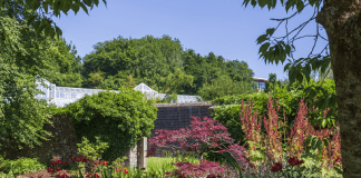 Garden reopens – Mae Gardd Fotaneg Genedlaethol Cymru yn Agored Botanic Gardens of Wales 4