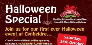 HALLOWEEN THEMED FUN AT CYNHEIDRE Halloween